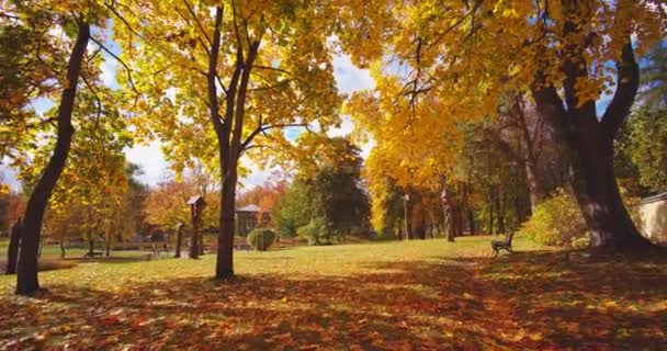 Video Vom Herbstlandschaftspanorama Bei Birstonas Litauen — Stockvideo