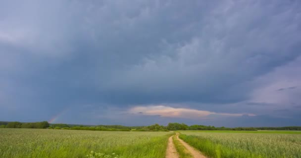 Storm Clouds Field Rain Fields Extreme Weather Dangerous Storm Climate — Stock Video