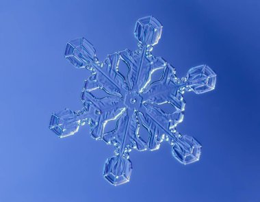 Yumuşak arkaplanda kar taneleri. Cam yüzeydeki gerçek kar kristalinin makro fotoğrafı. Bu sıra dışı desenli küçük bir kar tanesi..