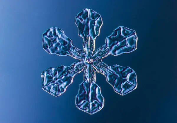 Vločka Hladkém Gradientu Pozadí Makro Fotografie Skutečného Sněhového Krystalu Skleněném — Stock fotografie