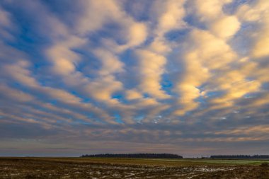 Kış manzarası Litvanya 'nın karla kaplı tarlalarının üzerinde renkli gün doğumu