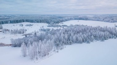 Huş ağaçlarıyla çevrili kış ormanlarının havadan çekilmiş fotoğrafı. Toprak ve karla kaplı ağaçların insansız hava aracı görüntüleri. Doğal kış geçmişi.