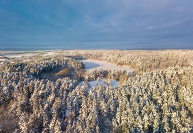 Huş ağaçlarıyla çevrili kış ormanlarının havadan çekilmiş fotoğrafı. Toprak ve karla kaplı ağaçların insansız hava aracı görüntüleri. Doğal kış geçmişi.