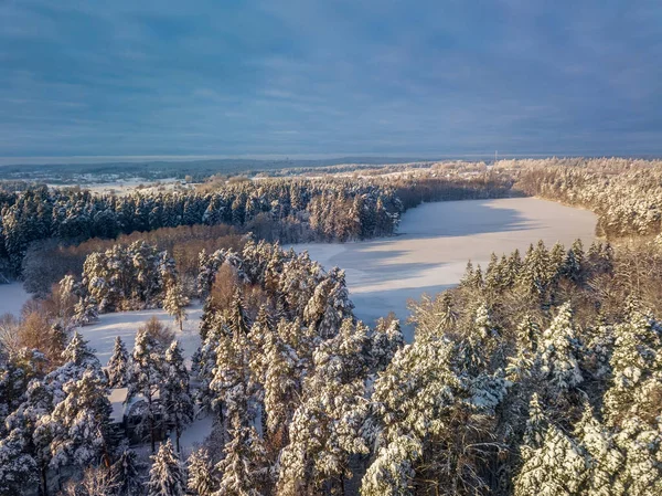 Aerial photo of winter forest surrounded by birch forest. Drone shot of trees covered with hoarfrost and snow. Natural winter background.