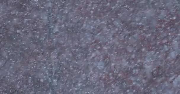 Kraftig Snöstorm Slow Motion Snö Faller Vid Kall Vinterdag Extremt — Stockvideo