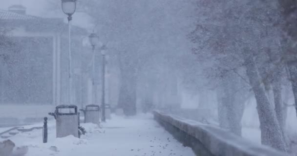Erős Hóvihar Lassított Felvételen Hóesés Hideg Téli Napokon Szélsőséges Téli — Stock videók