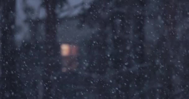 Silna Zamieć Zwolnionym Tempie Śnieg Padający Chłodny Zimowy Dzień Ekstremalna — Wideo stockowe