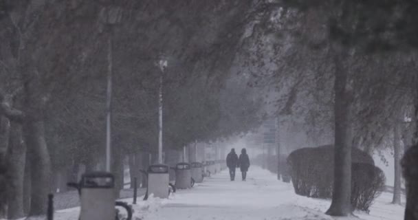スローモーションでの大雪 寒い冬の日に降る雪 極端な冬の天気 4Kビデオ — ストック動画