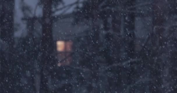 Silná Vánice Zpomaleném Filmu Sníh Padá Chladném Zimním Dni Extrémní — Stock video