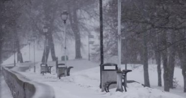 Ağır kar fırtınası, soğuk kış gününde yağan kar, aşırı kış havası, 4k video.