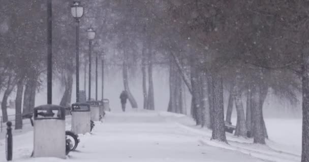 Heavy Blizzard Slow Motion Snow Falling Cold Winter Day Extreme — Stock Video