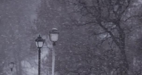 Zware Sneeuwstorm Slow Motion Sneeuw Valt Koude Winterdag Extreem Winterweer — Stockvideo