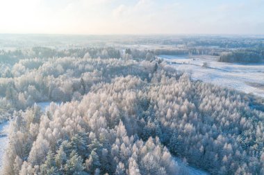Donmuş kış ormanının hava fotoğrafı, soğuk kış manzarası, hava fotoğrafı. Toprak ve karla kaplı ağaçların insansız hava aracı görüntüleri. Doğal kış geçmişi.