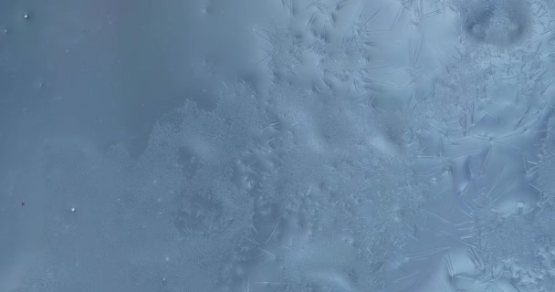 Відео Про Замерзле Вікно Кристали Льоду Ростуть Вікні — стокове відео