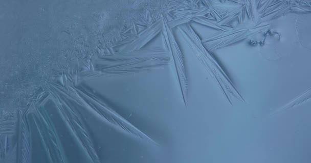 Video Freezing Window Ice Crystals Growing Window — Stockvideo