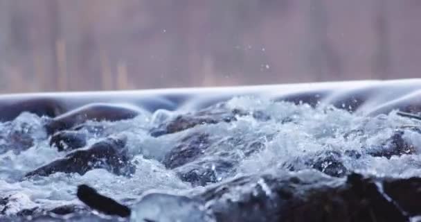 차가운 개울에서 천천히 흐르는 강물의 고품질 — 비디오