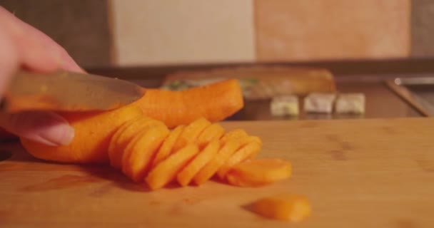 Cuchillo Que Corta Zanahorias Preparando Comida Preparando Zanahorias Para Sopa — Vídeo de stock