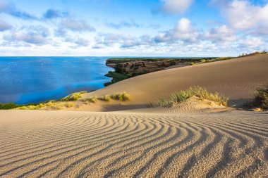 Landscape in Nida resort. Lithuania. Waves of the Dead dunes. Natural landscape. High quality photo