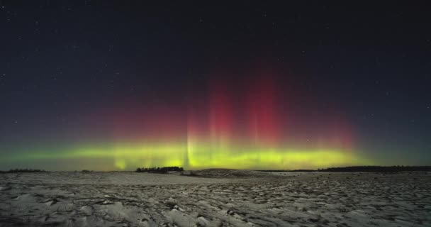 北极光 北极光在夜空中舞动 高质量的4K镜头 — 图库视频影像