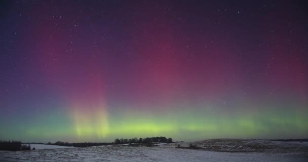 Nordlichter Aurora Borealis Tanzt Nachthimmel Hochwertiges Filmmaterial — Stockvideo