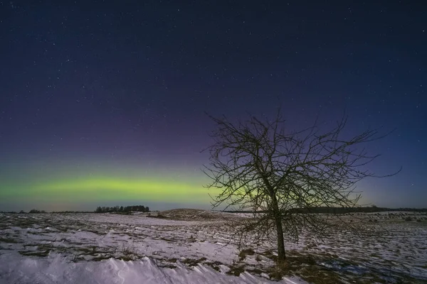 Northern Lights Aurora Boreal Está Dançando Céu Noturno Foto Alta — Fotografia de Stock