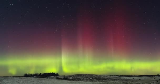 Northern Lights Aurora Boreal Está Dançando Céu Noturno Imagens Alta — Vídeo de Stock