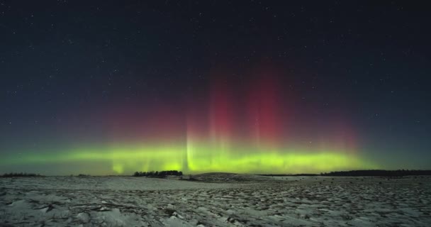 Noorderlicht Aurora Borealis Dansend Aan Nachtelijke Hemel Hoge Kwaliteit Beeldmateriaal — Stockvideo