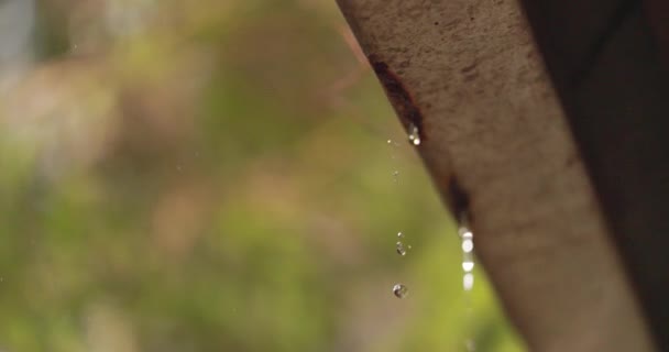 Медленное Видео Дождевой Воды Падающей Ливня Высококачественные Кадры — стоковое видео