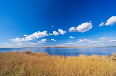 Zuvintas, Litvanya 'da uzun zamandır bir kuş krallığı olarak bilinen ilk rezerv. Yüksek kalite fotoğraf