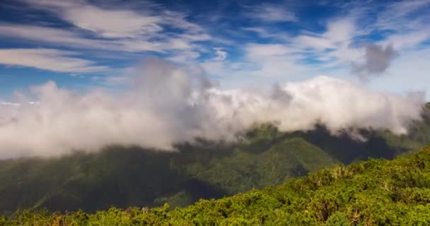 Madeira Hegység Gyorsan Mozgó Felhői Kiváló Minőségű Felvételek — Stock videók