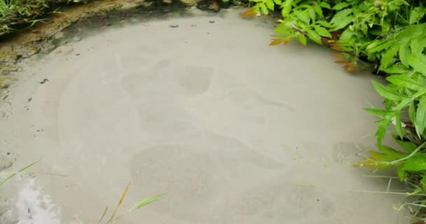 可饮用水在自然界中喷发 涌出的淡水从地底深处喷出 立陶宛 高质量的4K镜头 — 图库视频影像