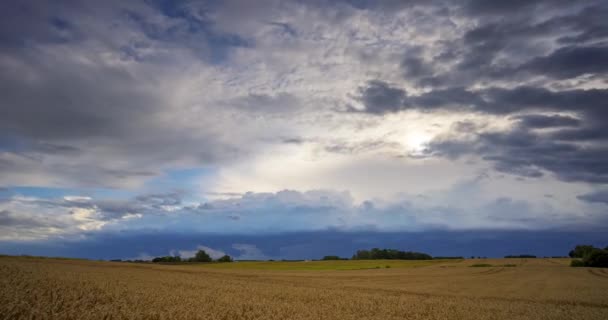 Nubes Tormenta Moviéndose Hacia Espectador Nube Peligrosa Estante Supercélulas Tormenta — Vídeo de stock