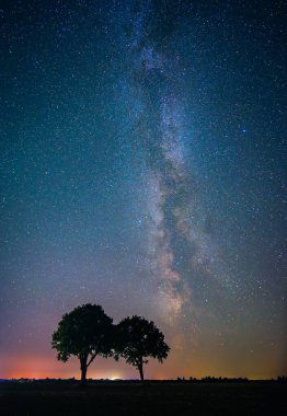 Renkli Samanyolu ile gece manzarası ve iki ağaç, sonbahar gökyüzü. Yüksek kalite fotoğraf