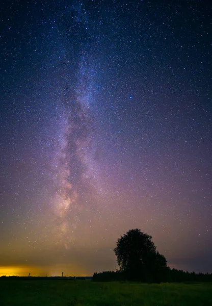 Renkli Samanyolu ile gece manzarası, sonbahar gökyüzü. Yüksek kalite fotoğraf