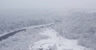 Kış mevsimi. Kar fırtınasından sonra kar ormanlarının havadan görünüşü. Yüksek kalite 4k görüntü