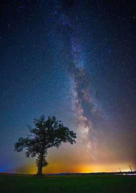 Renkli Samanyolu ile gece manzarası ve bir ağaç, sonbahar gökyüzü. Yüksek kalite fotoğraf