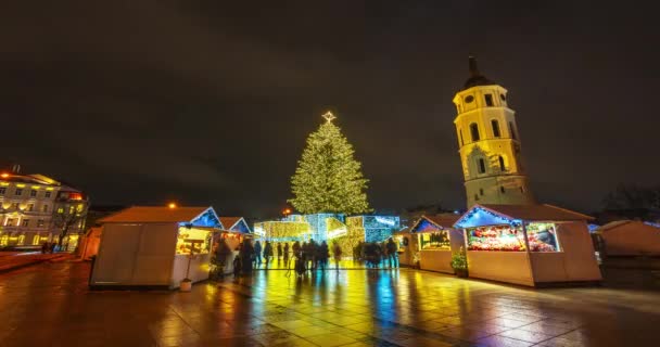 Árbol Navidad Plaza Catedral Vilna Lituania 2023 Imágenes Alta Calidad — Vídeos de Stock