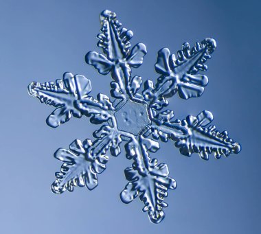 Doğal kar tanesi kristal yakın çekim makro fotoğrafı. Yüksek kalite fotoğraf