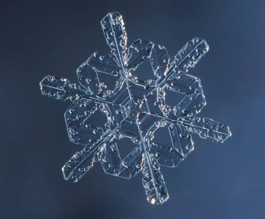 Doğal kar tanesi kristal yakın çekim makro fotoğrafı. Yüksek kalite fotoğraf