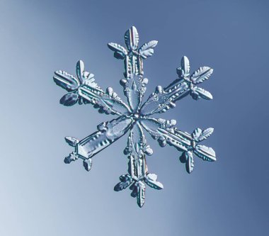 Doğal kar tanesi kristal yakın çekim makro fotoğrafı. Yüksek kalite fotoğraf