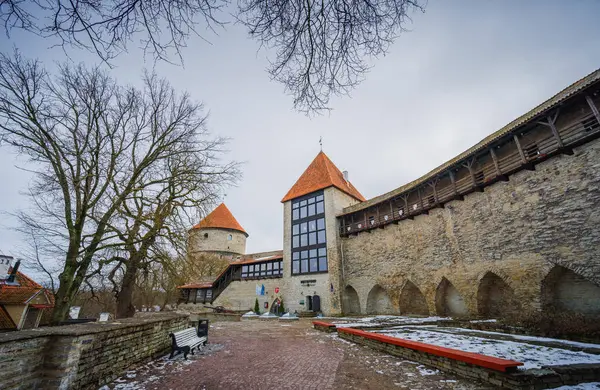 Estonya 'nın başkenti Tallinn. Yüksek kalite fotoğraf