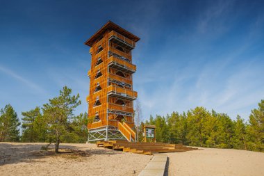 Viru Bog Virüsü Raba turba turba bataklığı, Estonya. Yüksek kalite fotoğraf