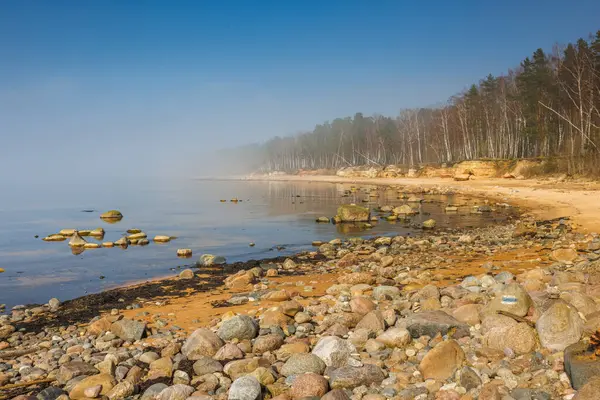 Veczemju Klintis Veczemju Cliffs Baltic Sea Poblíž Tuja Lotyšsko Krásné Stock Obrázky