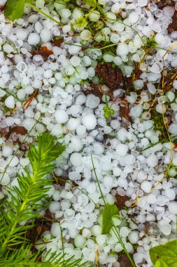 Fırtınanın ardından yerdeki dolu taşlarının detaylı bir görüntüsü. İklim değişikliği