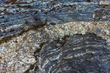 Engebeli bir kaya yüzeyinde bulunan karmaşık ve değişik dokular doğanın eşsiz sanatını gözler önüne seriyor.