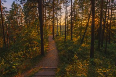 Litvanya, Vilnius yakınlarındaki Silenai bilişsel parkı. Bu turistik doğa gezisi Neris bölge parkının bir parçasıdır..
