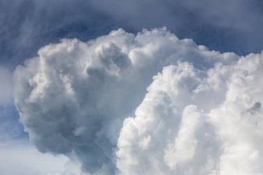 Pofuduk bulutların göz kamaştırıcı manzarası canlı sarı tarlaların üzerinde şekilleniyor, güzelliği yakalıyor.