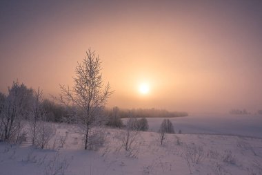 Winter landscape with fog. Sunrise landscape in Lithuania clipart