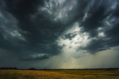 Şiddetli bulutların birleştiği karanlık gökyüzü ve yağmurdan önce şiddetli bir fırtına. Kötü ya da kasvetli hava, gökyüzü ve çevre. karbondioksit emisyonları, sera etkisi, küresel ısınma, iklim değişikliği.