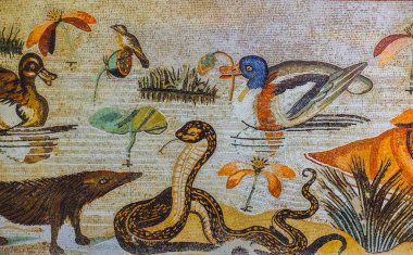 Napoli, İtalya - 18 Kasım 2024: MÖ 100 dolaylarında antik Roma mozaiğinin bir parçası. Pompeii, Vezüv 'de gömülü bir volkanda kazılmış bir evden kalma arkeolojik bir eser..